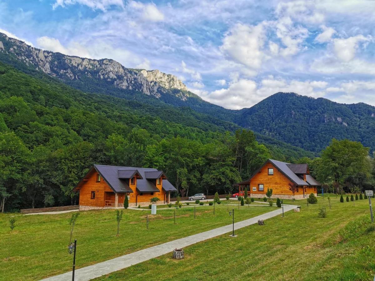 Vila "Maglic" تجينتيستيه المظهر الخارجي الصورة