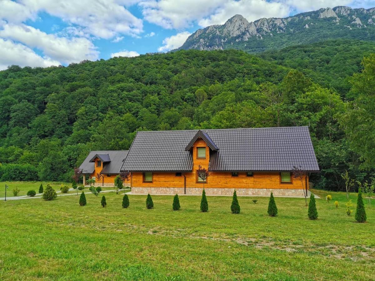 Vila "Maglic" تجينتيستيه المظهر الخارجي الصورة