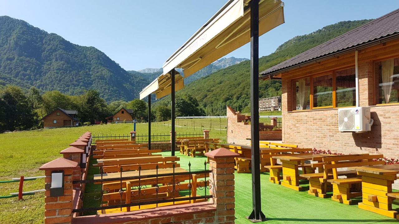 Vila "Maglic" تجينتيستيه المظهر الخارجي الصورة